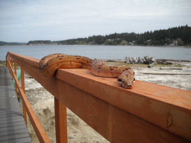 Summit Hypo at NW beach