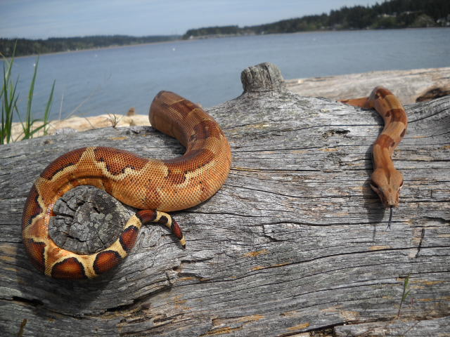 Summit Hypo at NW beach 2