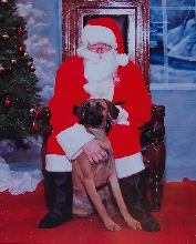 Brandi with Santa