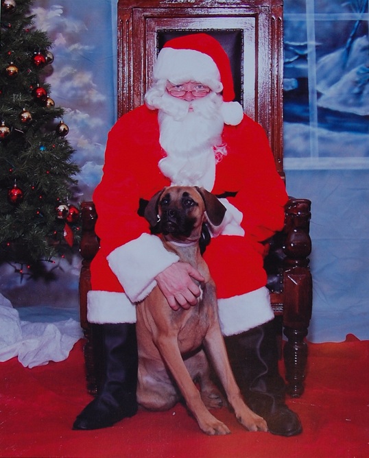 Brandi with Santa