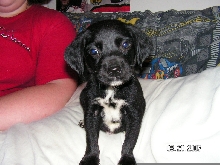 Kahne's first picture