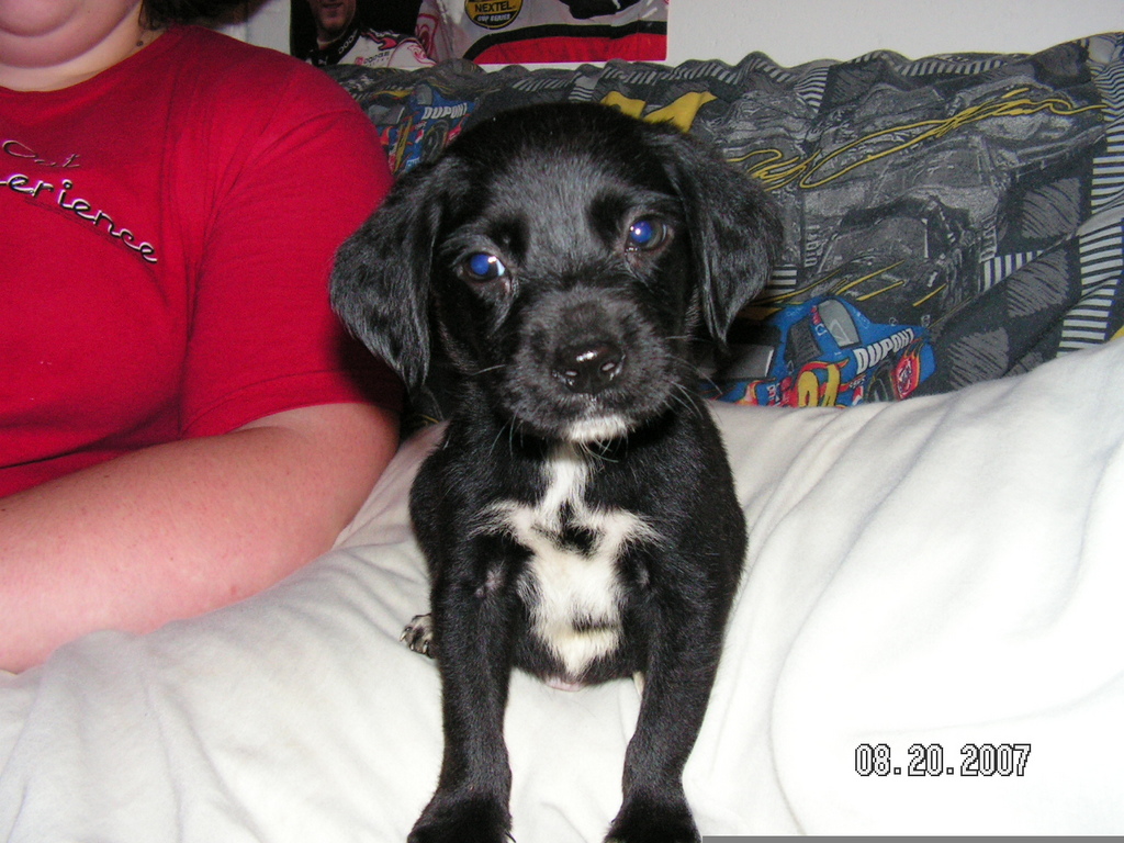 Kahne's first picture