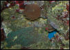 Saltwater Photos