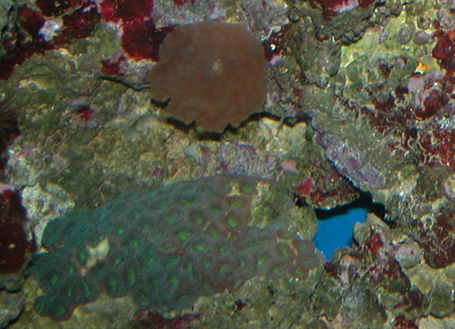 Saltwater Photos