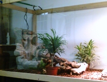 More homebuilt cage pics