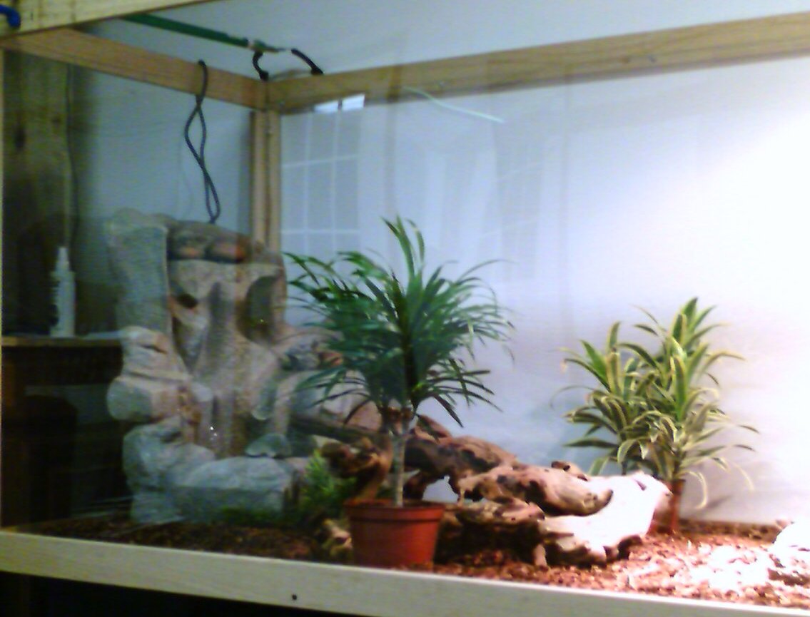 More homebuilt cage pics