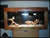 My new cage