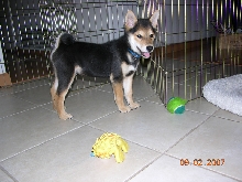 Cobe 3 months