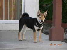 Cobe 4 months