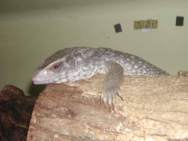 Sav. Monitor