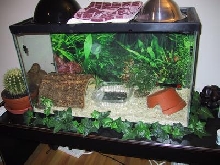 Another Pic