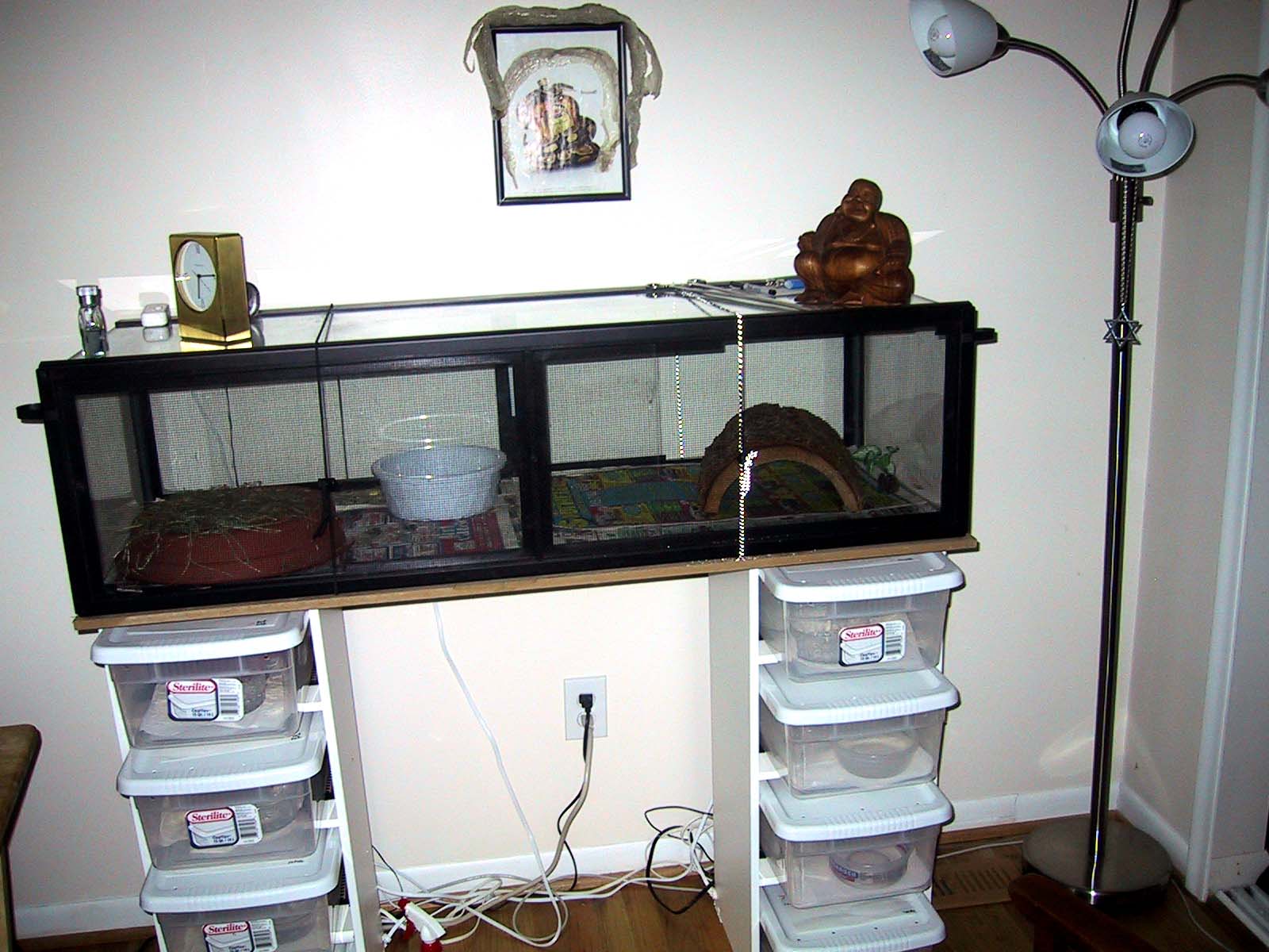 Snake room