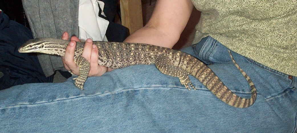 My Argus Butch