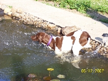 charlie