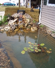 3500 gal. pond