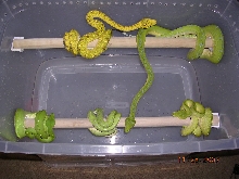 Killer Chondros