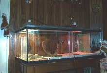 New Home finally!!