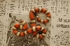 2008 Tri-color hypo Pueblan #2