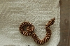 2008 Western Hognose #1