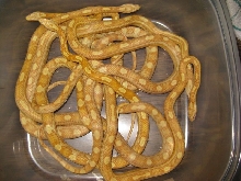 2007 Butter Motleys