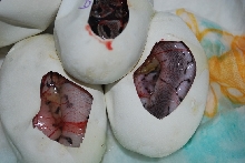 Axanthic Spinner