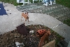 Rear porch gone