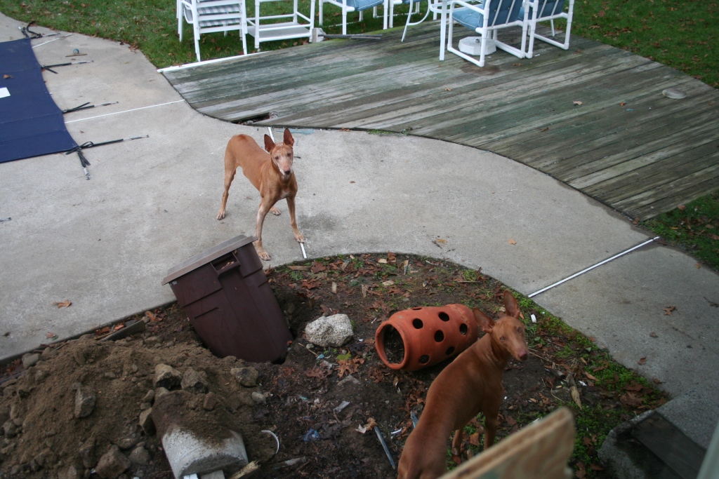 Rear porch gone
