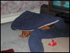 Sultan's bed