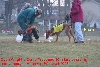 Camp Treybeau Sultan & Flash (1)12-31-2005