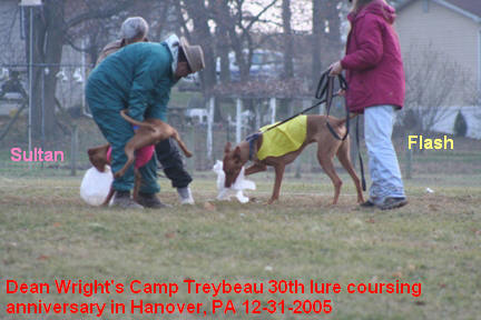 Camp Treybeau Sultan & Flash (1)12-31-2005