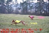 Camp Treybeau / Flash & Sultan