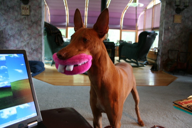 Sultan smiling 6-26-06