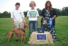 National Specialty Lure Coursing new AKC DC Zabelle