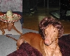 Sultan & Luxor New Years Wish