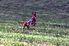 Luxor Gillette Run 2001 ASFA II