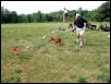 Future lure courser