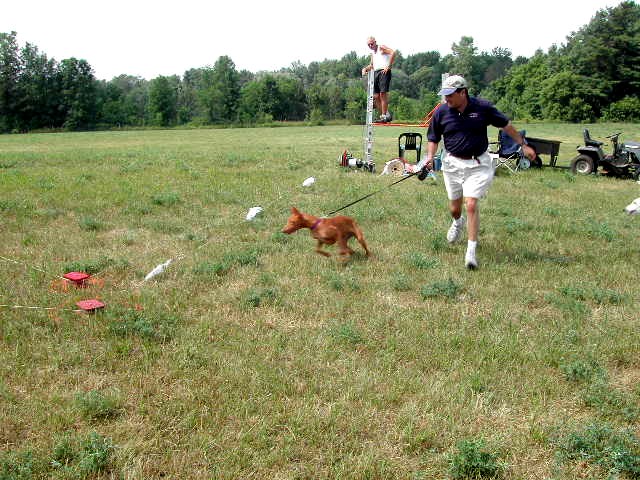 Future lure courser