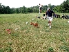Sultan @ 4 mths coursing