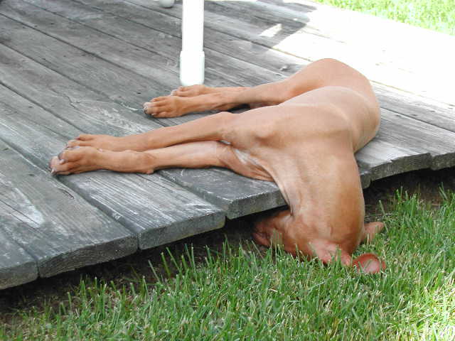 No blanket available to relax under
