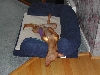 Compromising position