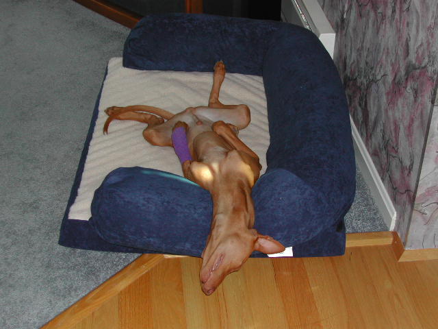 Compromising position