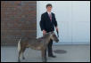 Rooster's First Show