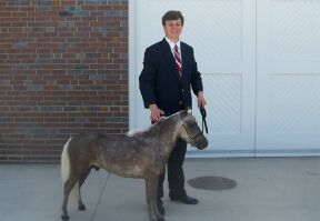 Rooster's First Show
