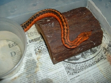 FLAME GARTER