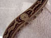 striped boa