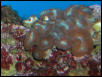 Saltwater Photos