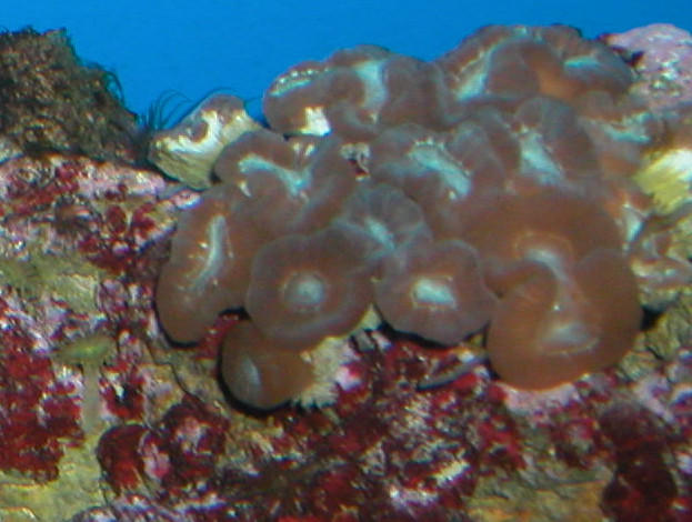 Saltwater Photos