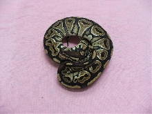 het red axanthic male