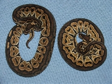 Het Red Axanthic Pair