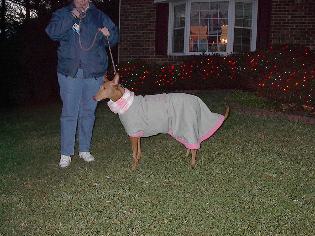 Phlirt with new WARM coat